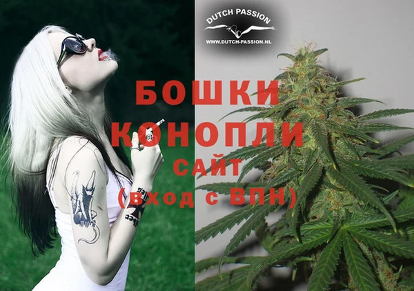 молекула духа Балахна