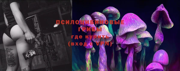 прущие крисы Снежинск