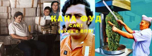 молекула духа Балахна