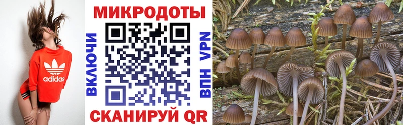 ОМГ ОМГ ССЫЛКА  Ясный  Галлюциногенные грибы Magic Shrooms 